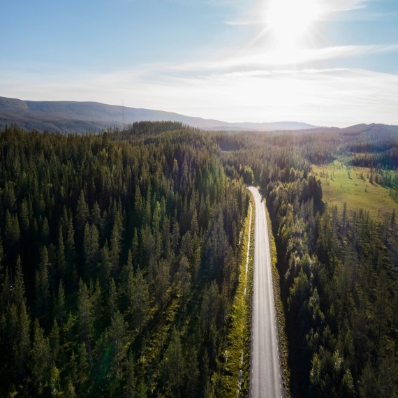 aerial shot of a road near a forest 